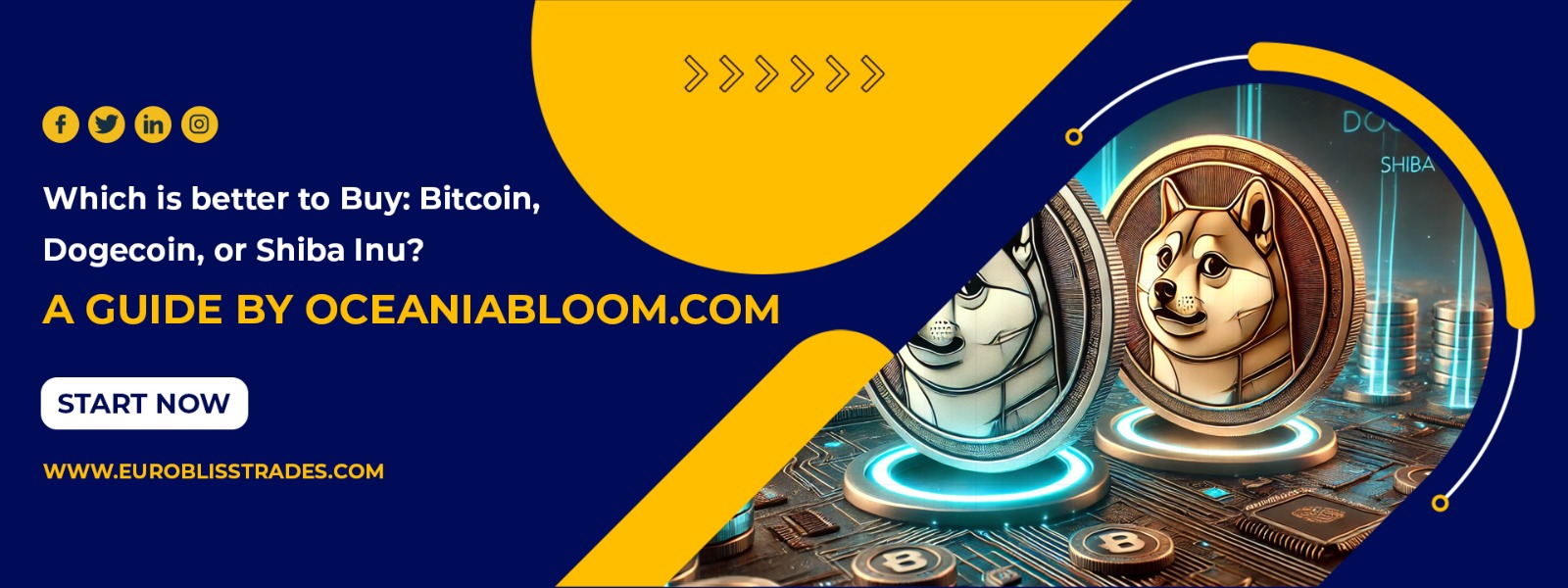 Which is better to Buy: Bitcoin, Dogecoin, or Shiba Inu?